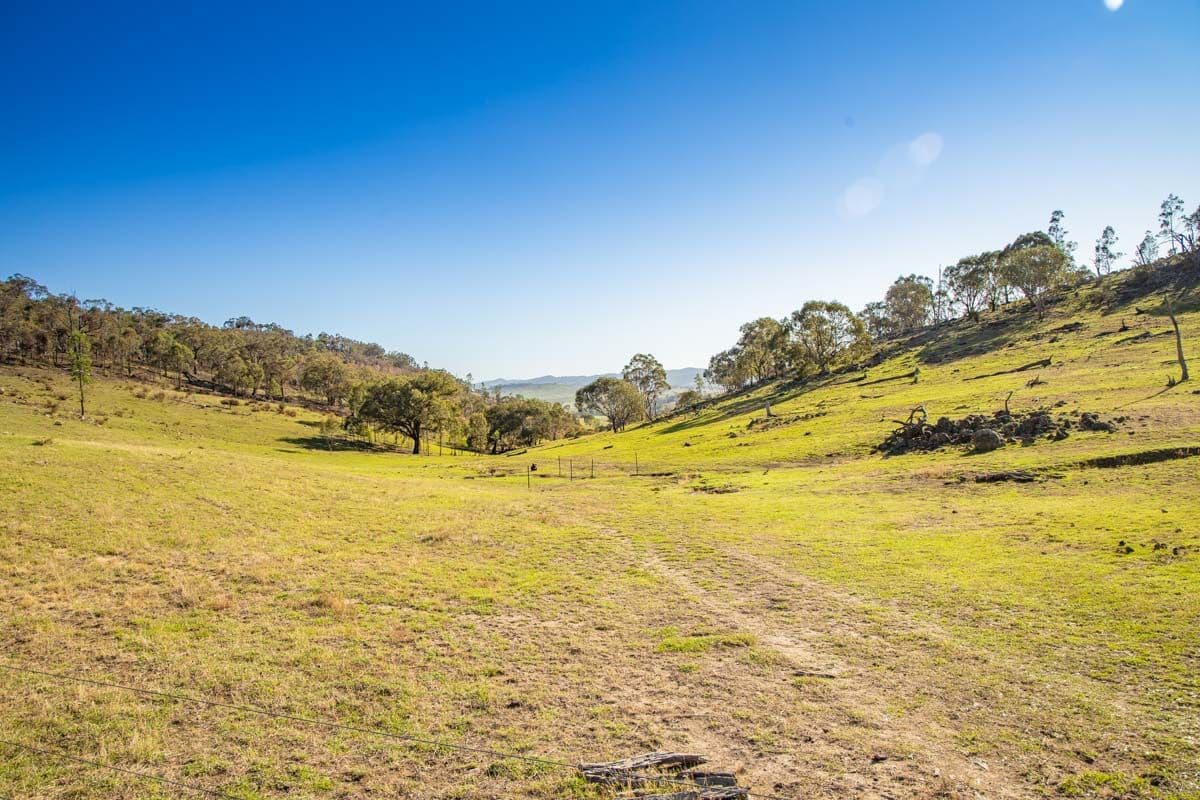 3047 Wargeila Road, Yass NSW 2582, Yass - Thumbnail 7