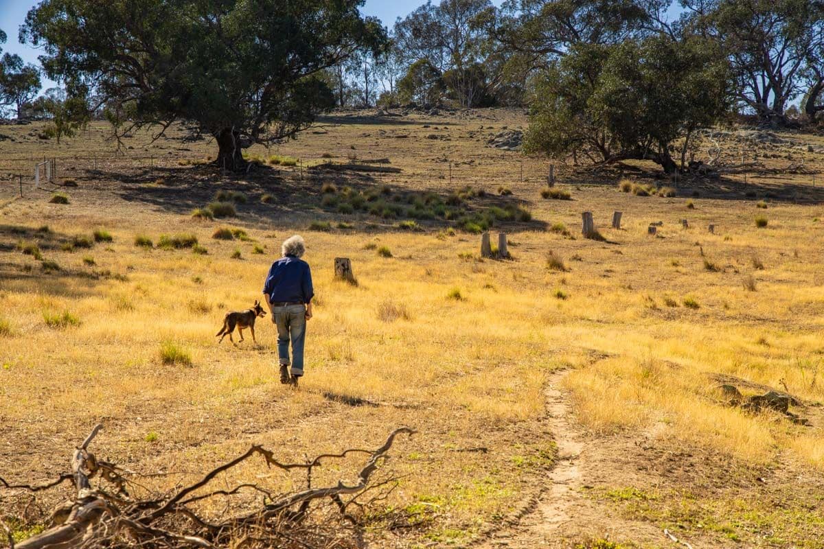 3047 Wargeila Road, Yass NSW 2582, Yass - Thumbnail 8
