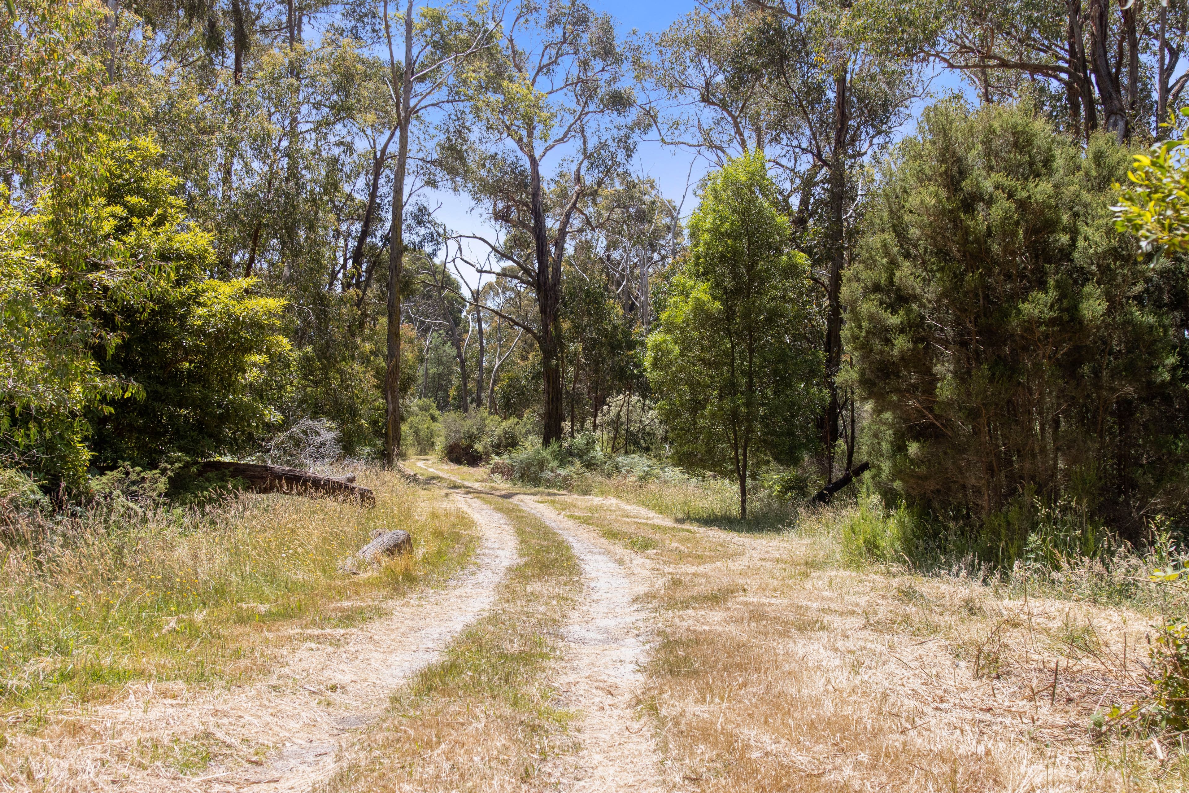 177 Stewarts Road, Kongwak VIC 3951, Kongwak - Thumbnail 7