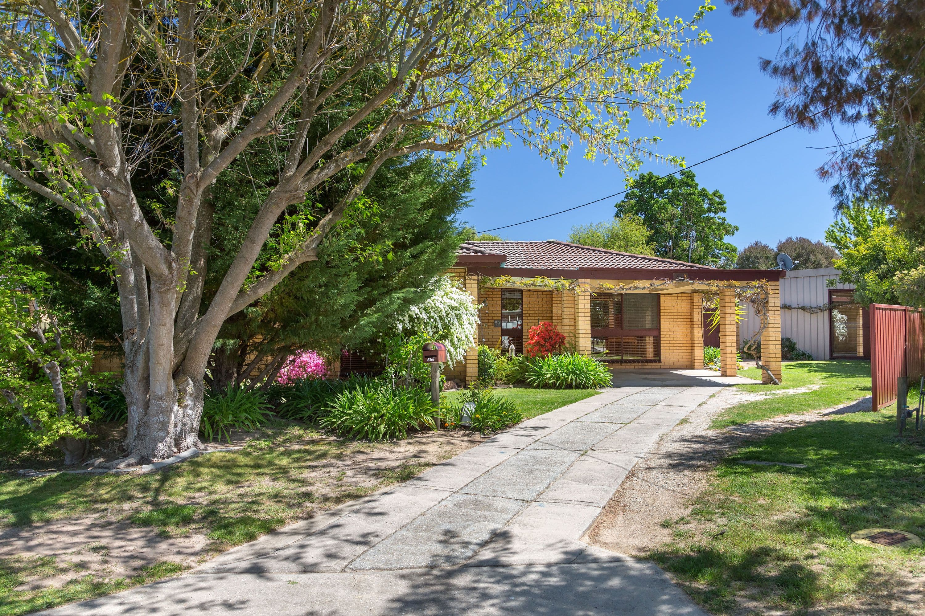 565 Woodbury Court, Lavington - Image 1