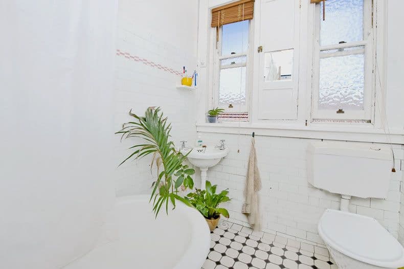 206 Clovelly Road, CLOVELLY NSW 2031, Clovelly - Thumbnail 3