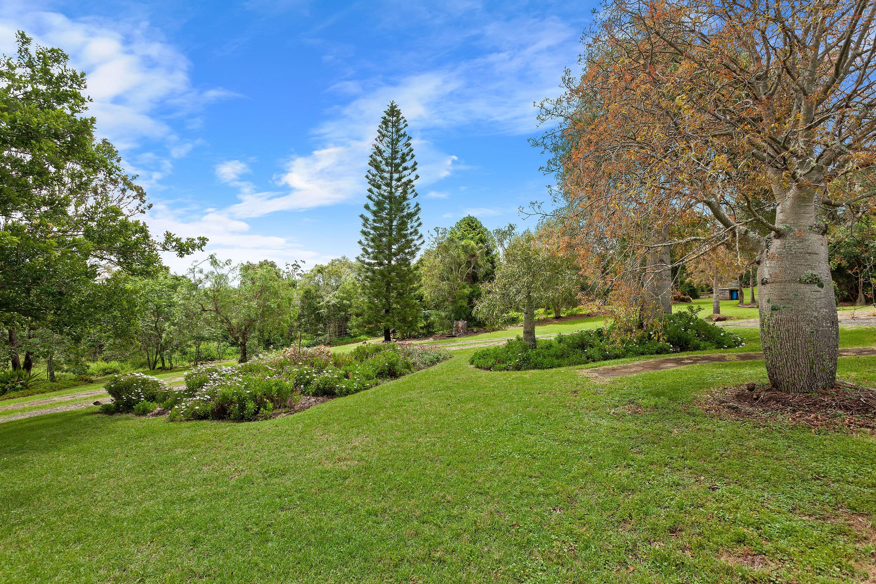 62 Moseley Road, Glencoe QLD 4352, Glencoe - Thumbnail 3