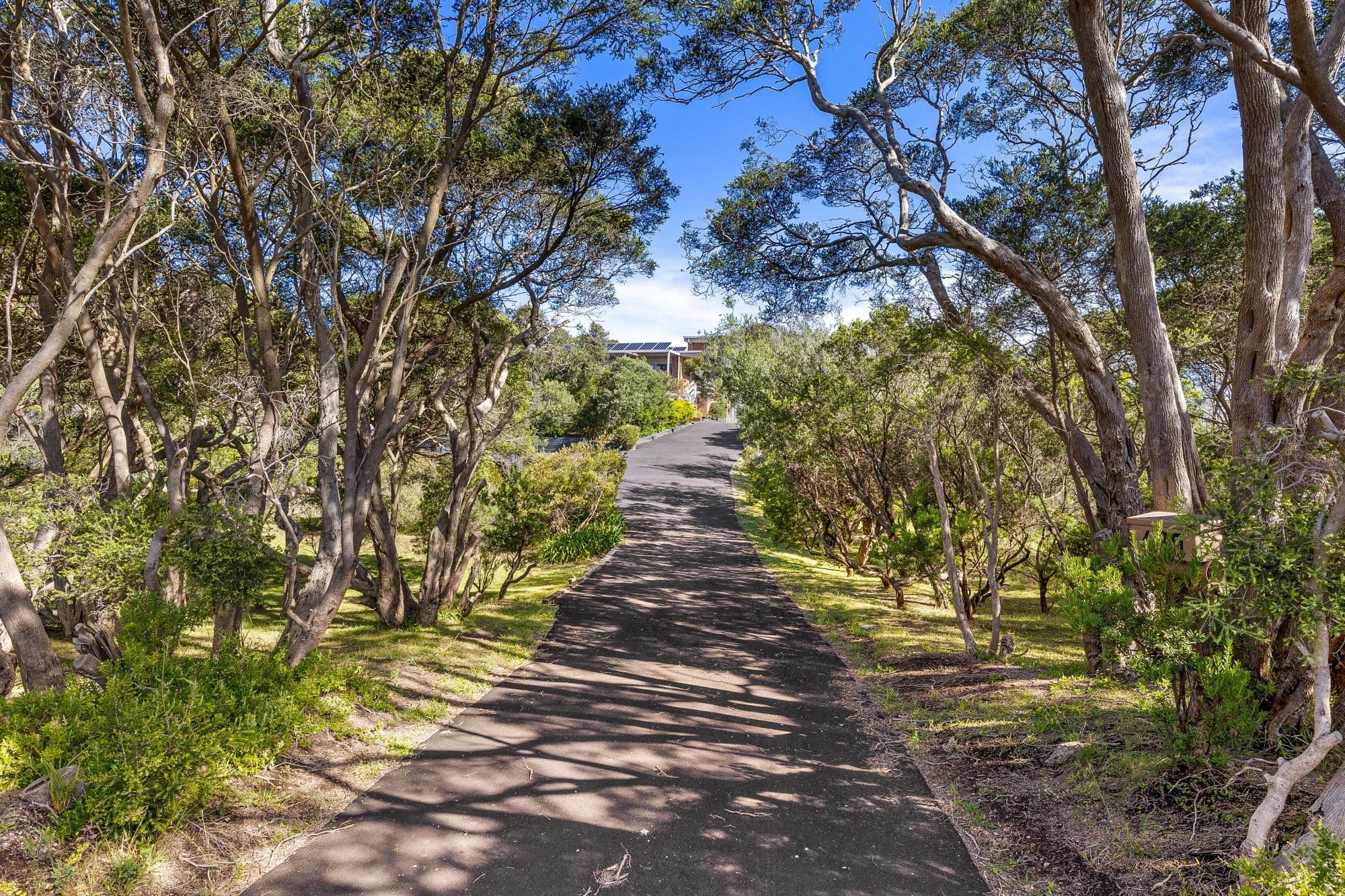 499-501 Browns Road, Rye VIC 3941, Rye - Thumbnail 4