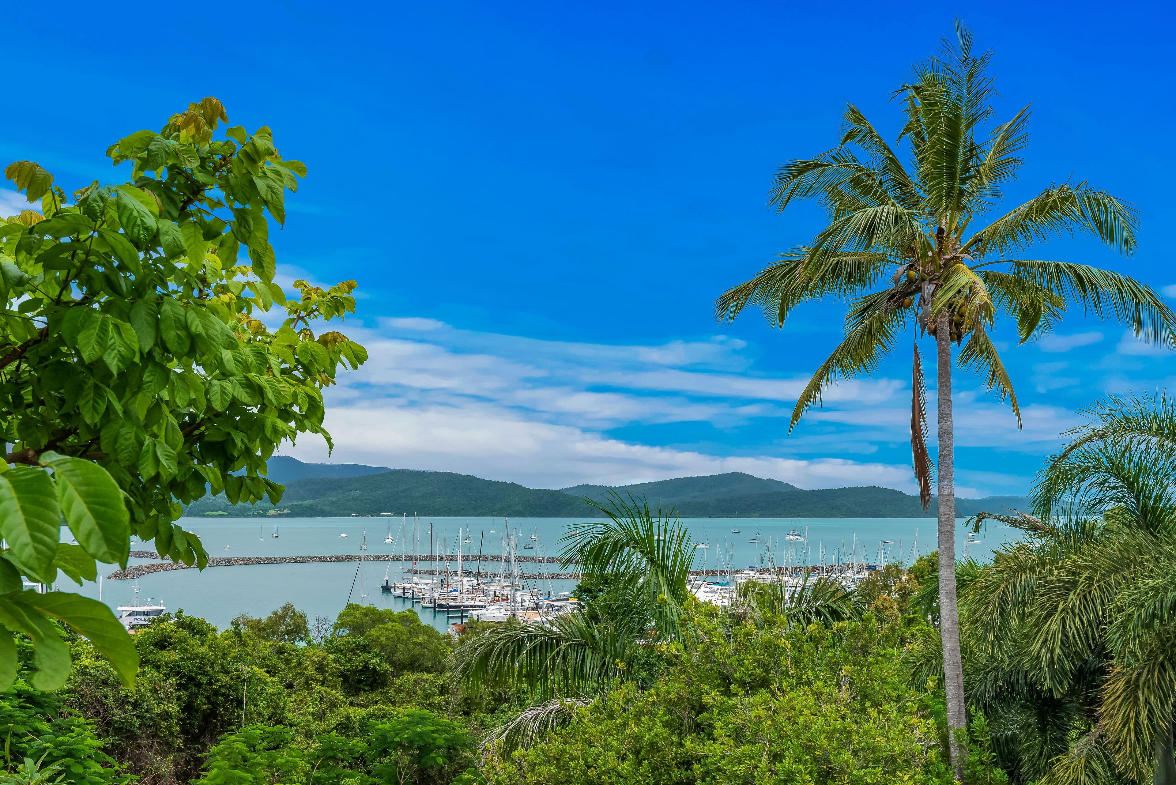 14 Summit Avenue, Airlie Beach QLD 4802, Airlie Beach - Thumbnail 2