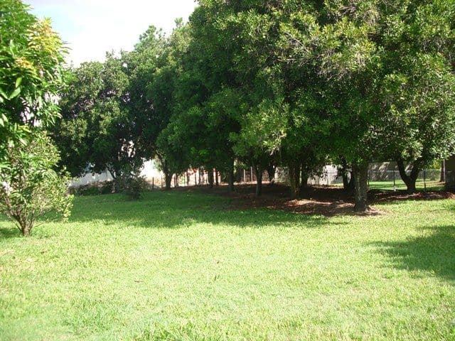 16 Jersey Street, MORNINGSIDE QLD 4170, Morningside - Thumbnail 7
