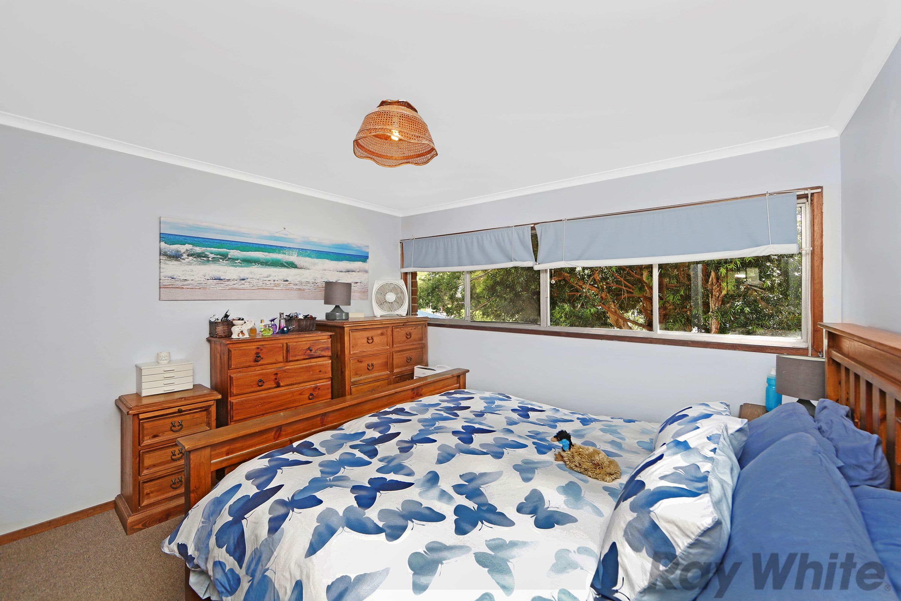 16 Natuna Avenue, Budgewoi - Thumbnail 5