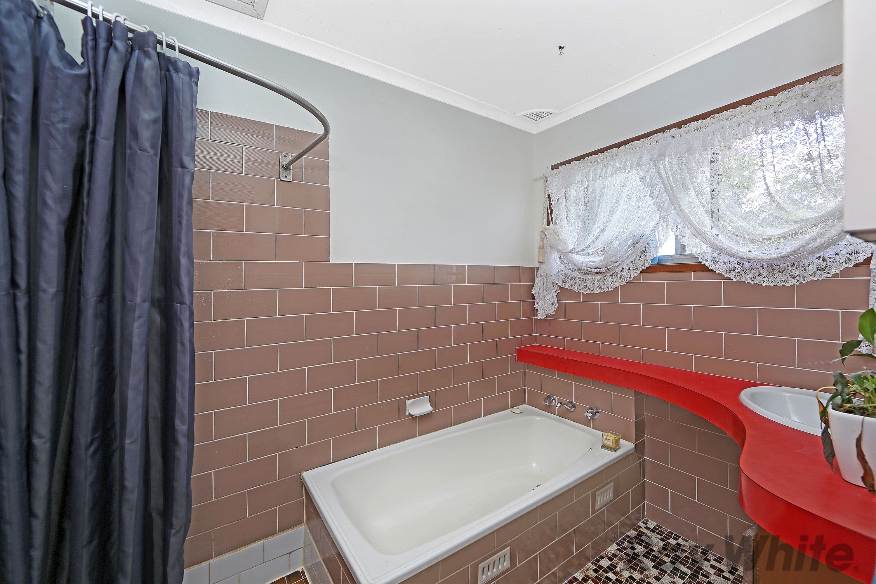16 Natuna Avenue, Budgewoi - Thumbnail 6