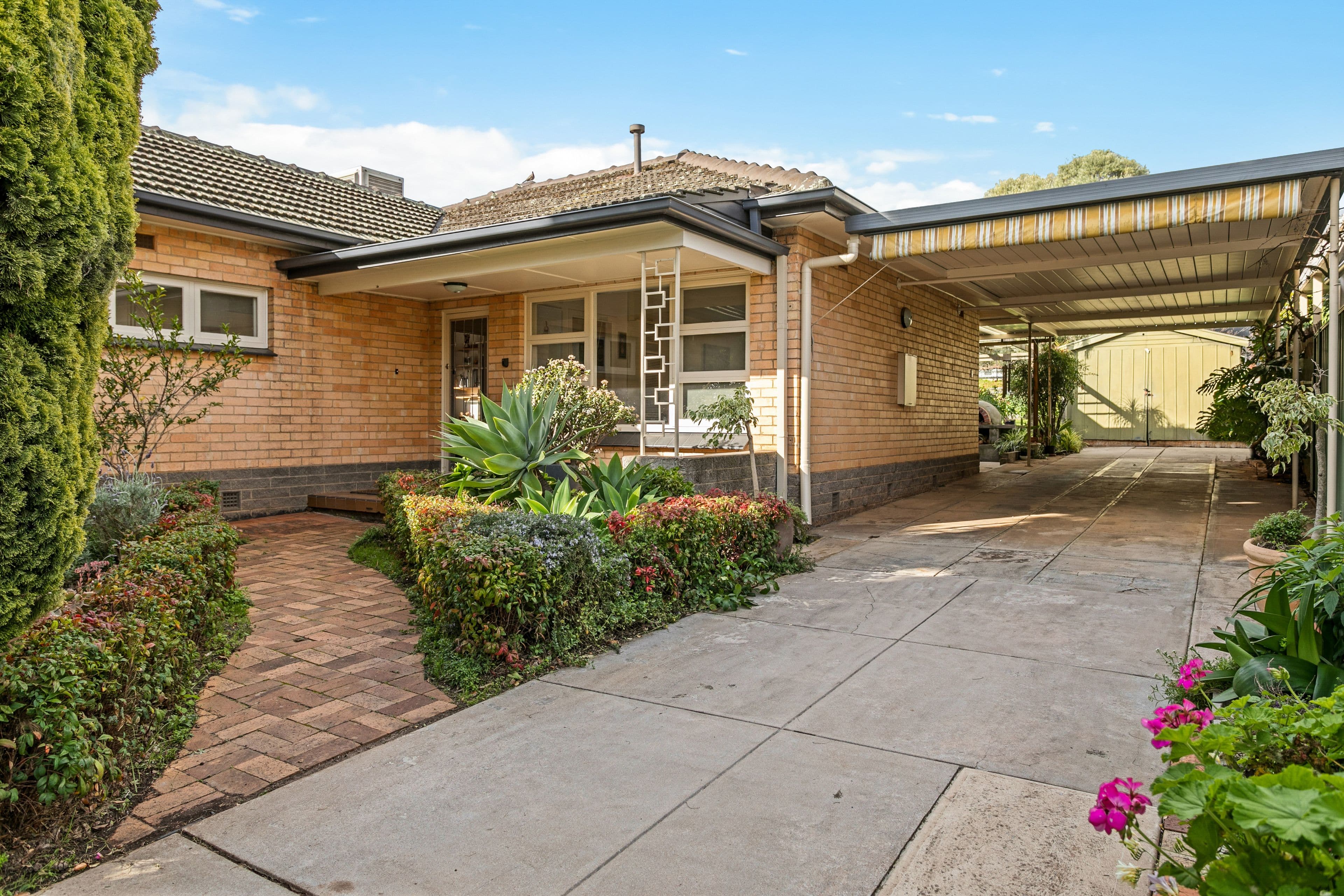 60 Briant Road, Magill SA 5072, Magill - Thumbnail 2