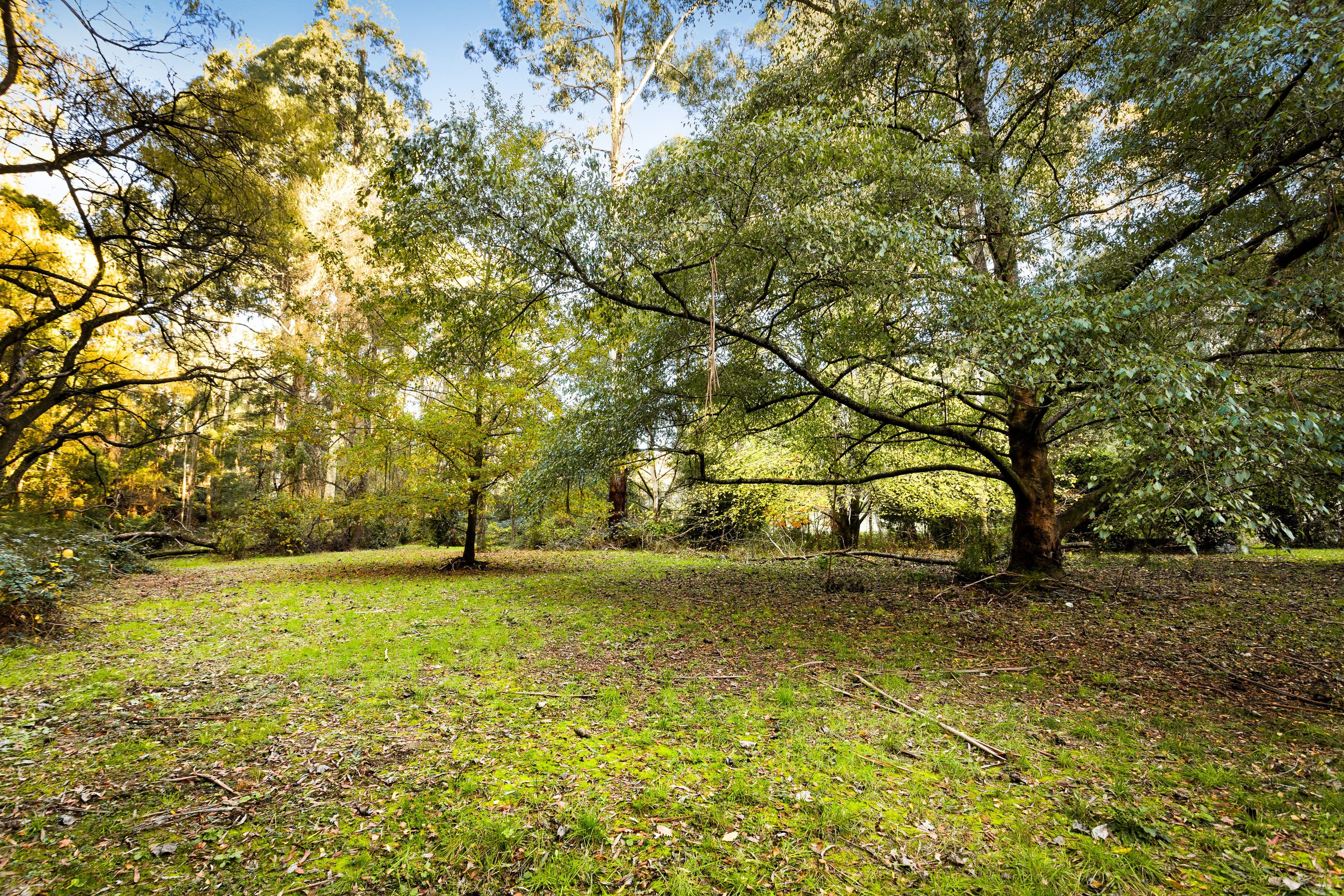 775 Mt Baw Baw Tourist Road, Noojee VIC 3833, Noojee - Thumbnail 7