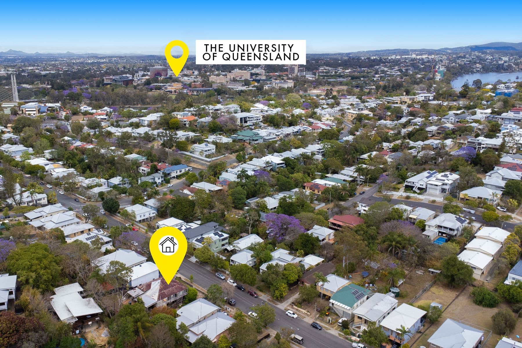 49 Deighton Road, Dutton Park QLD 4102, Dutton Park - Thumbnail 5