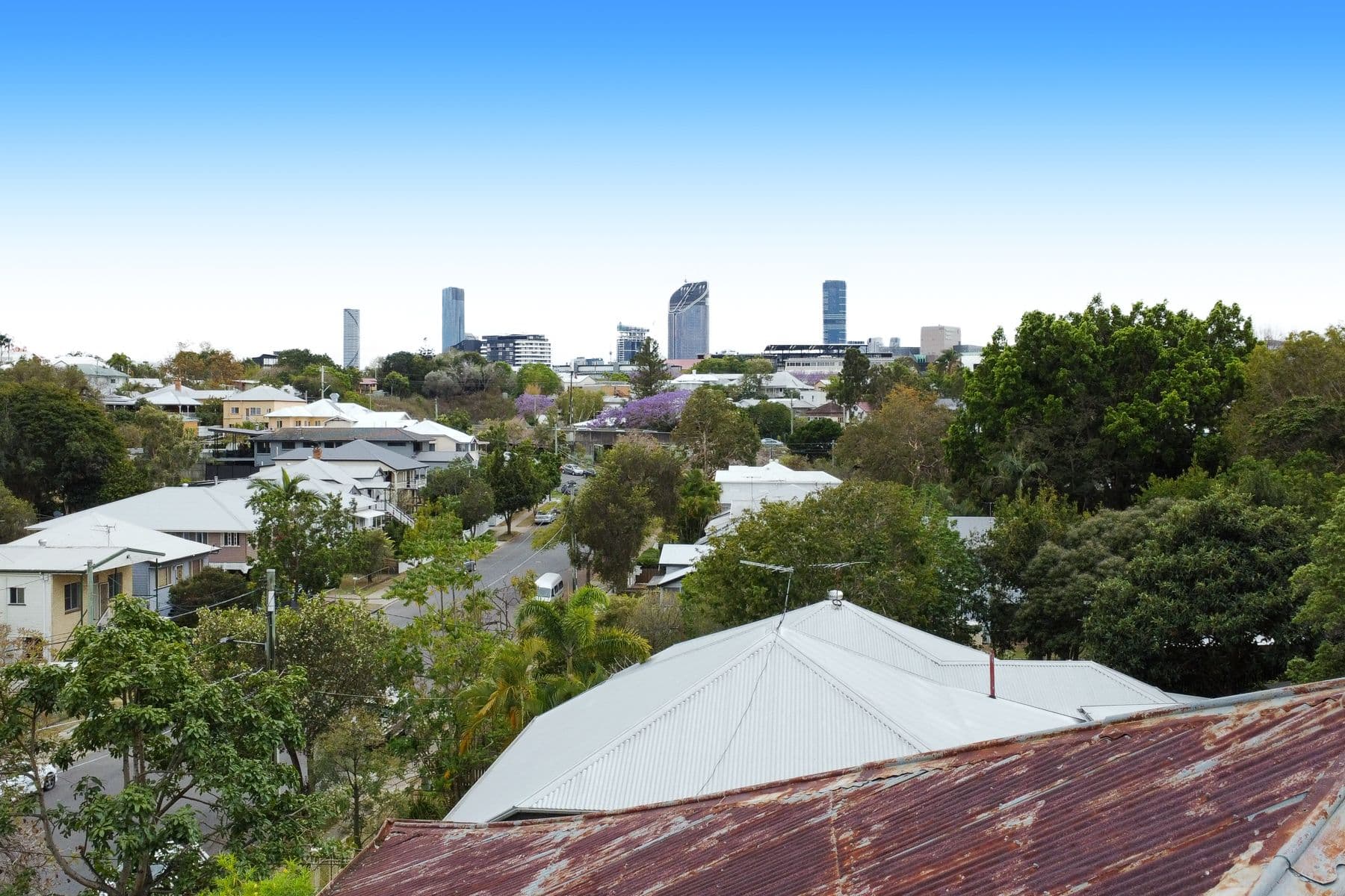 49 Deighton Road, Dutton Park QLD 4102, Dutton Park - Thumbnail 7