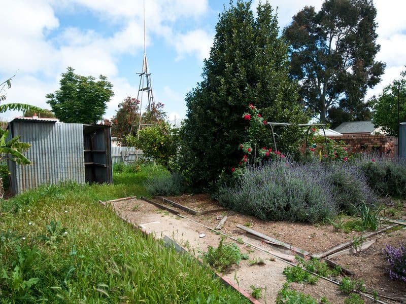 26 Winifred Avenue, SOUTH PLYMPTON SA 5038, South Plympton - Thumbnail 6