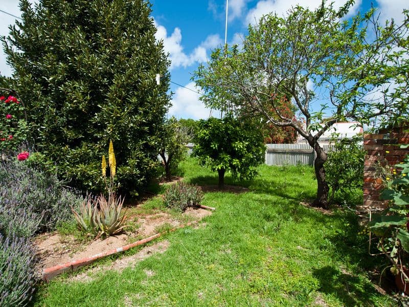 26 Winifred Avenue, SOUTH PLYMPTON SA 5038, South Plympton - Thumbnail 8