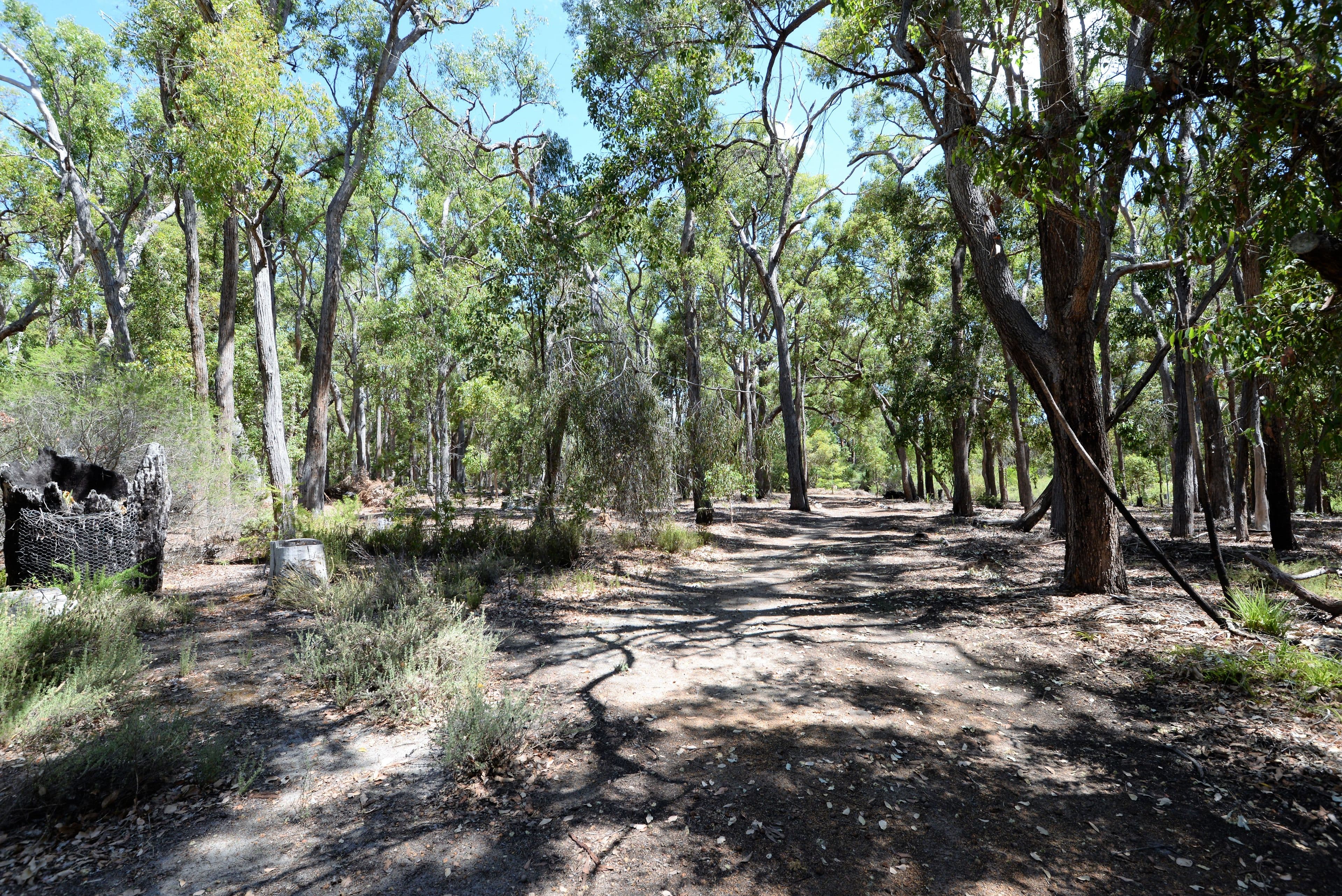 65 BLACKWOOD RIVER Drive, Nannup WA 6275, Nannup - Thumbnail 2