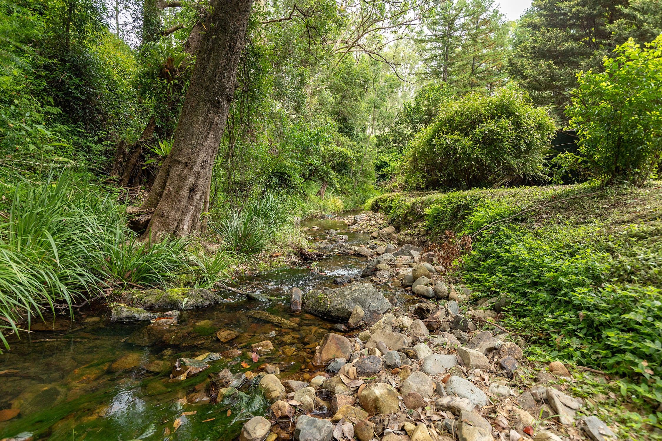 32 Rawdon Vale Road, Gloucester NSW 2422, Invergordon - Image 1