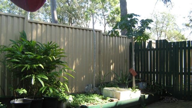 52 Meya Crescent, Fletcher, NSW, 2287, Fletcher - Thumbnail 6