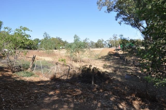 35 Nanima Street, Eugowra NSW 2806, Eugowra - Thumbnail 5