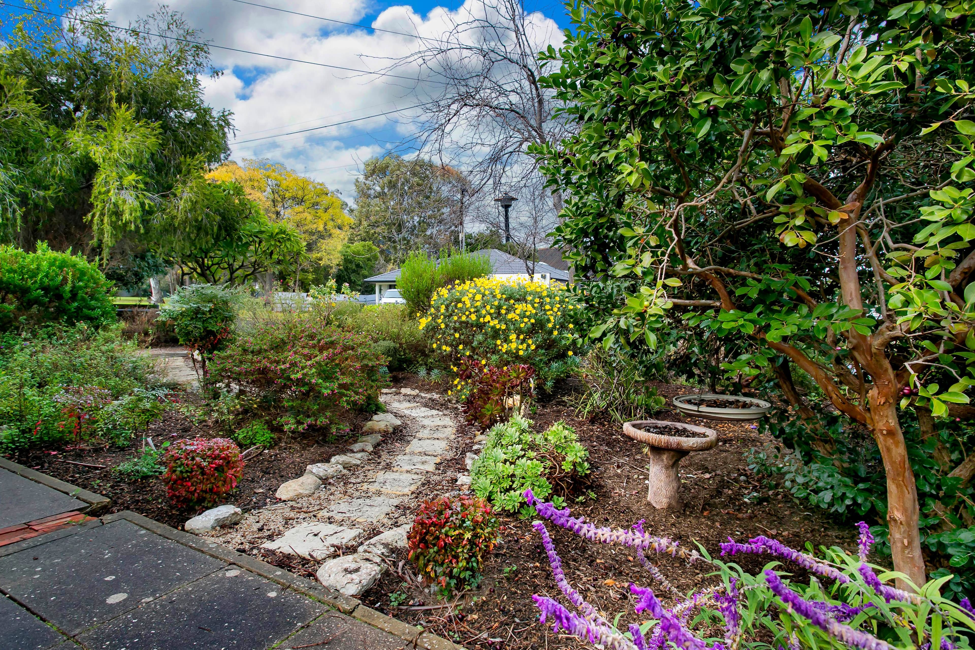 104 Penang Avenue, Melrose Park SA 5039, Melrose Park - Thumbnail 2