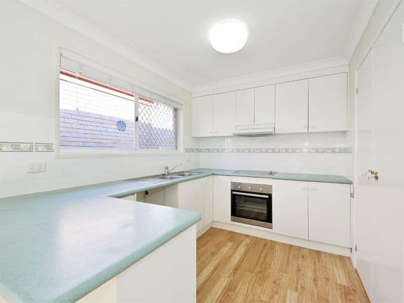 19 Cedar Street, CANNON HILL QLD 4170, Cannon Hill - Thumbnail 4