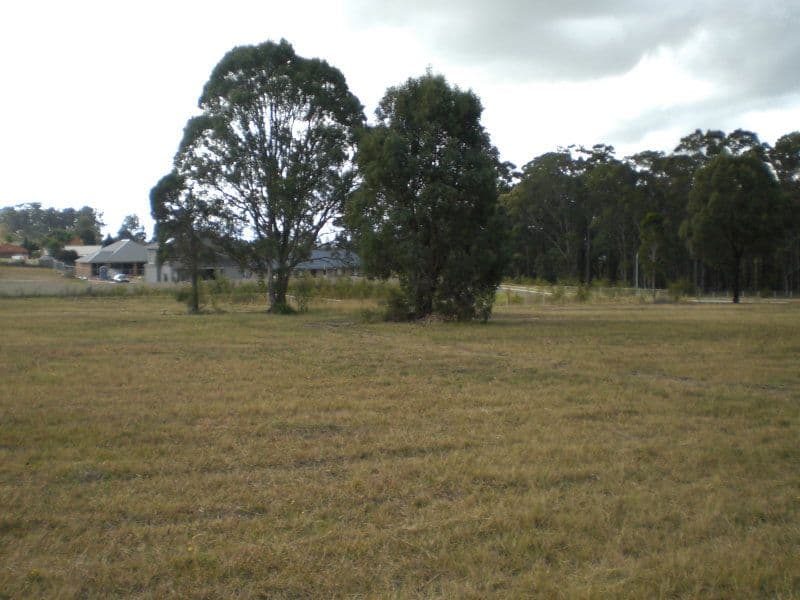 Lot 124 Nutans Crest, WORRIGEE NSW 2540, Worrigee - Thumbnail 3