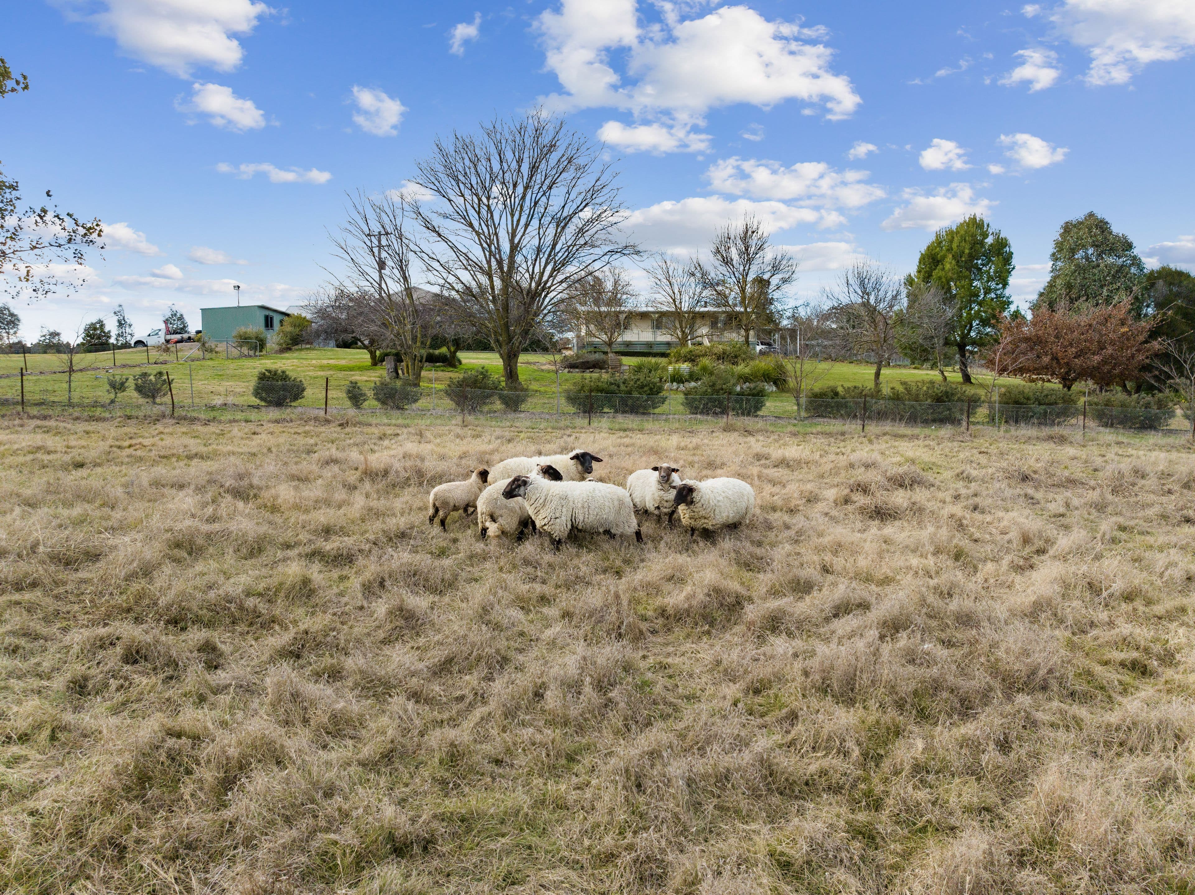 311 Fairy Hole Road, Yass NSW 2582, Yass - Thumbnail 3