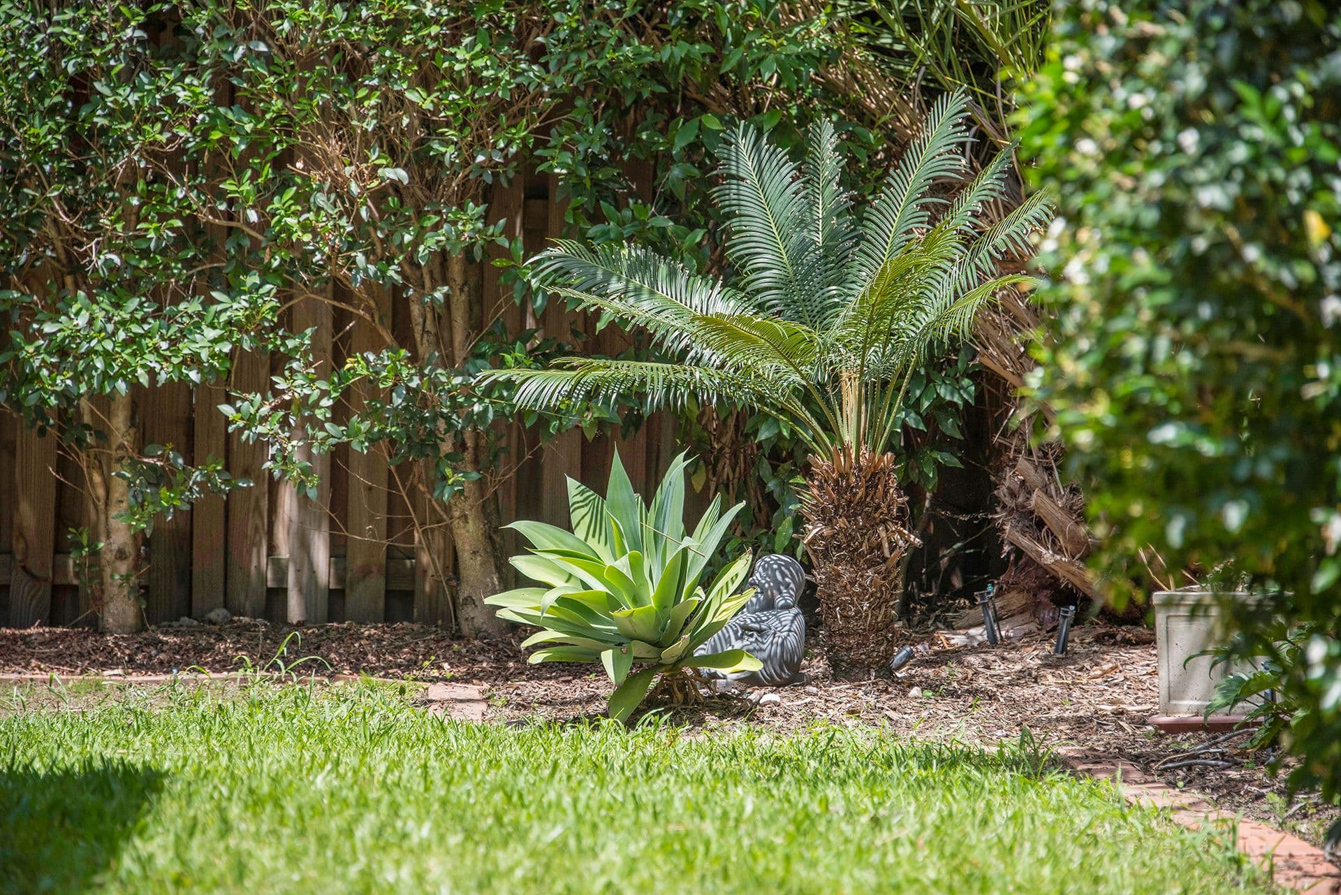 7 Flamevine Street, Upper Coomera QLD 4209, Upper Coomera - Thumbnail 4