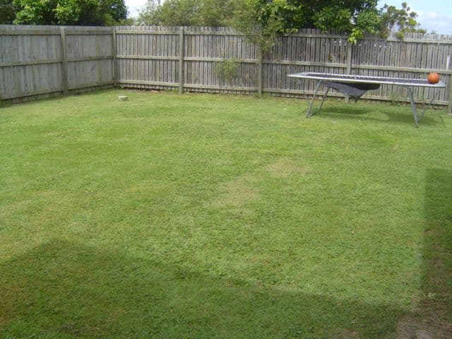 2 Dysart Street, ROTHWELL QLD 4022, Rothwell - Thumbnail 7