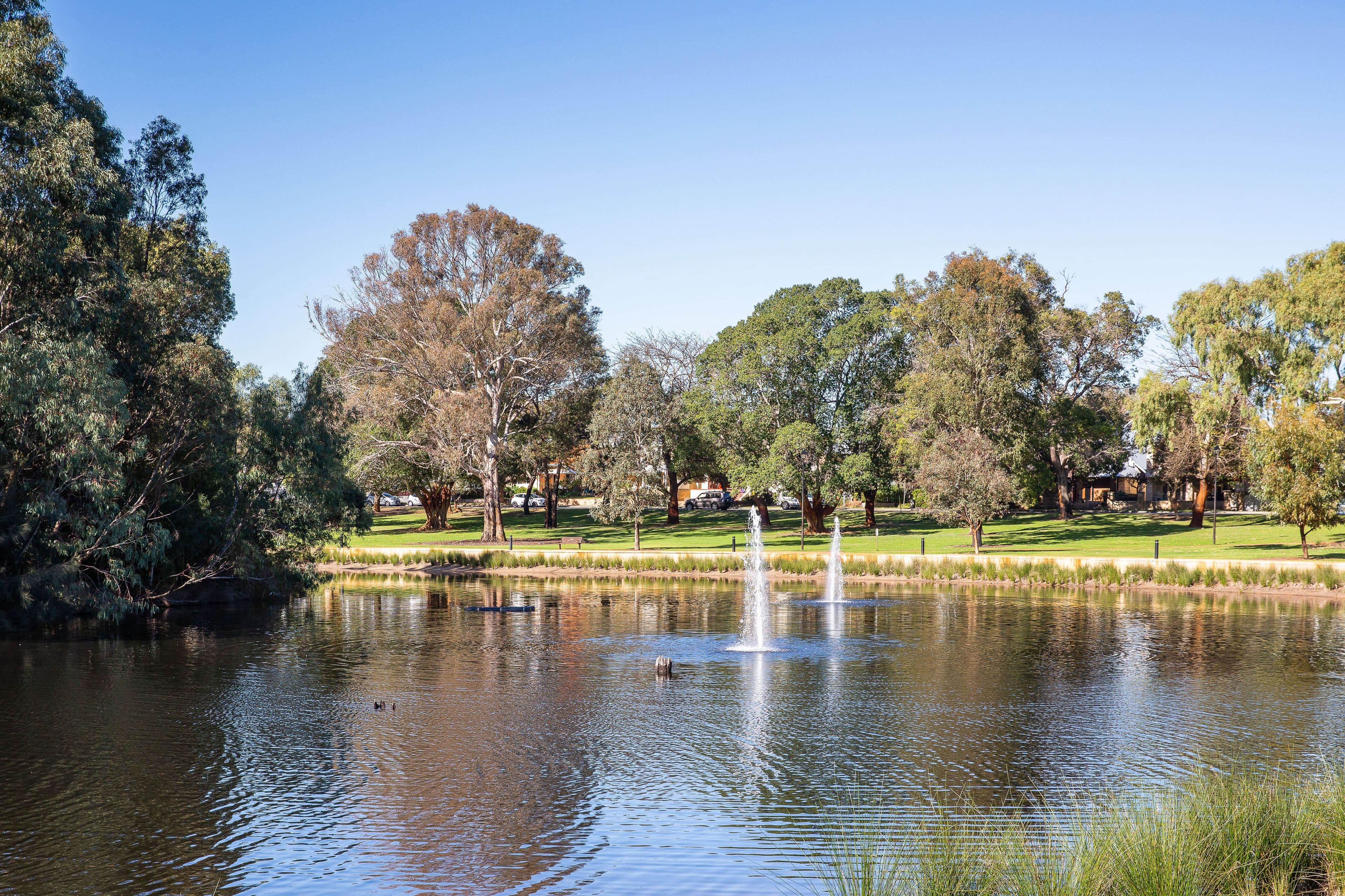 101 Gloster Street, Subiaco WA 6008, Subiaco - Image 1