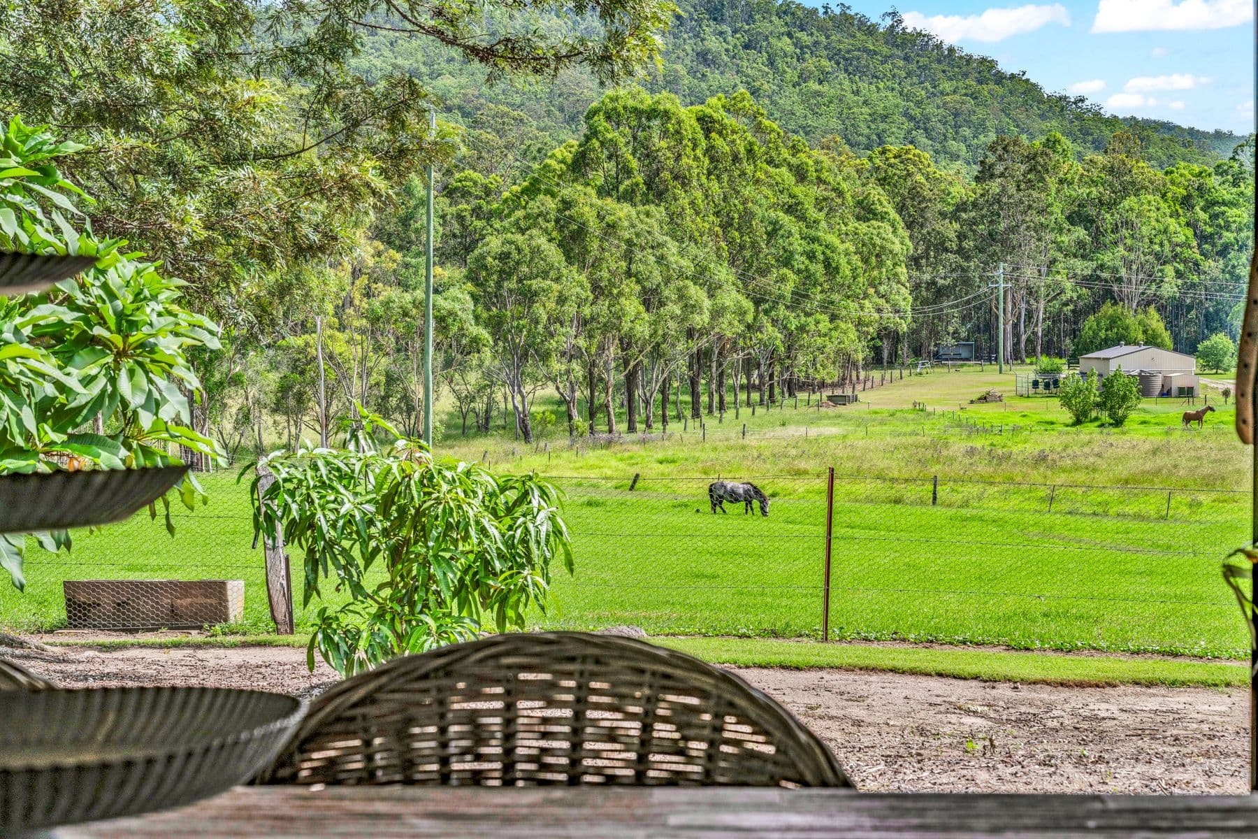 3 Lilly Pilly Close, Clarence Town NSW 2321, Clarence Town - Thumbnail 2
