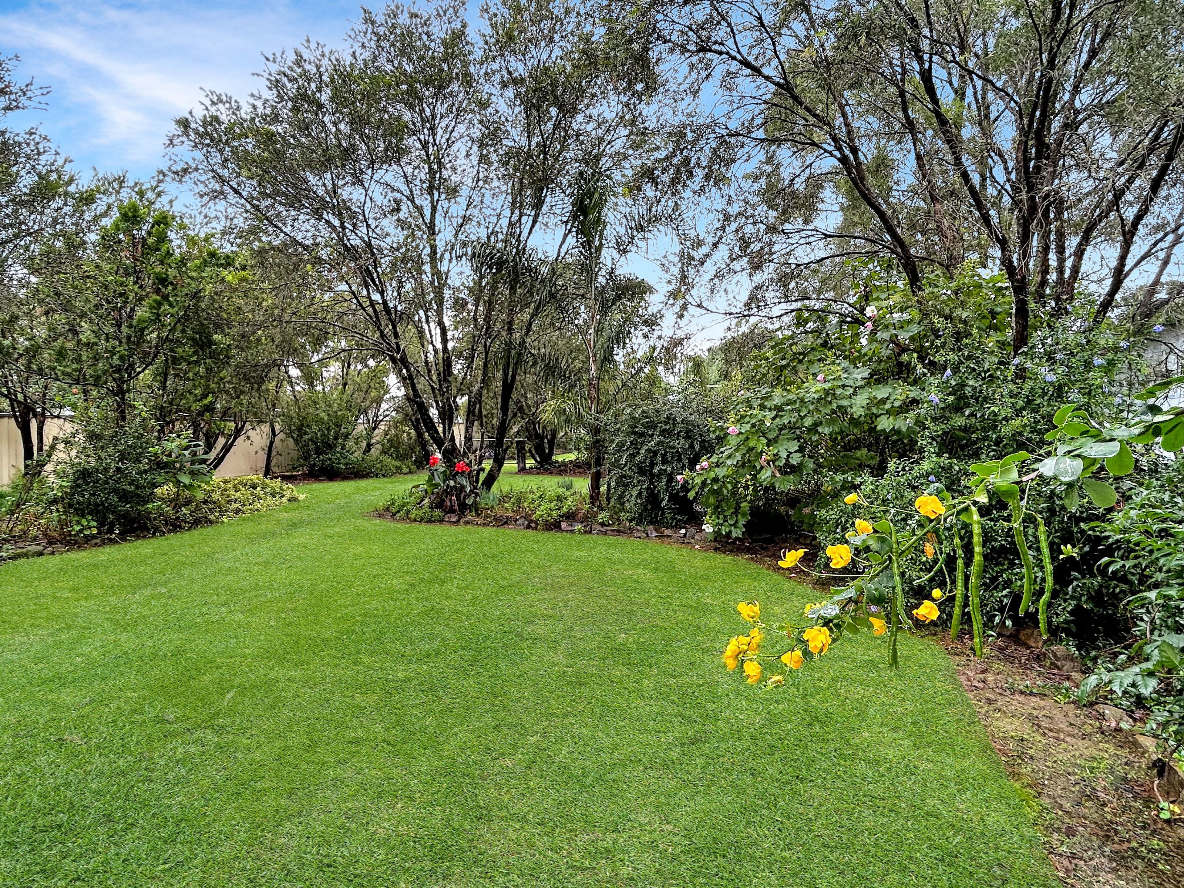 6 Urben Street, Urbenville NSW 2475, Urbenville - Image 1