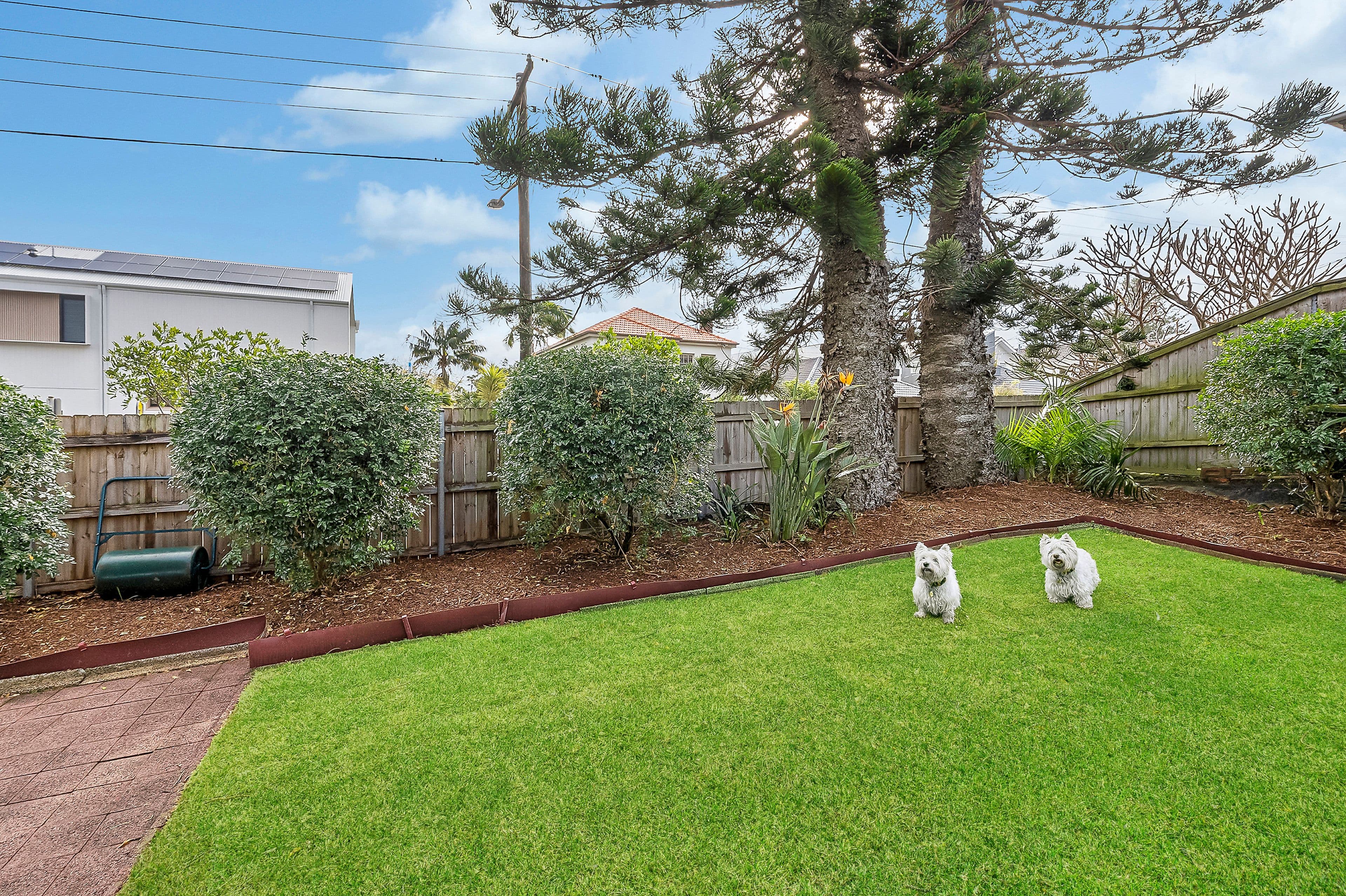 53 O'Donnell Street, North Bondi NSW 2026, North Bondi - Thumbnail 2