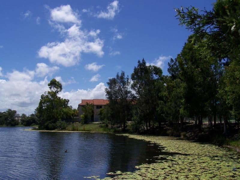  34 Dalton Drive, MAROOCHYDORE QLD 4558, Maroochydore - Thumbnail 3