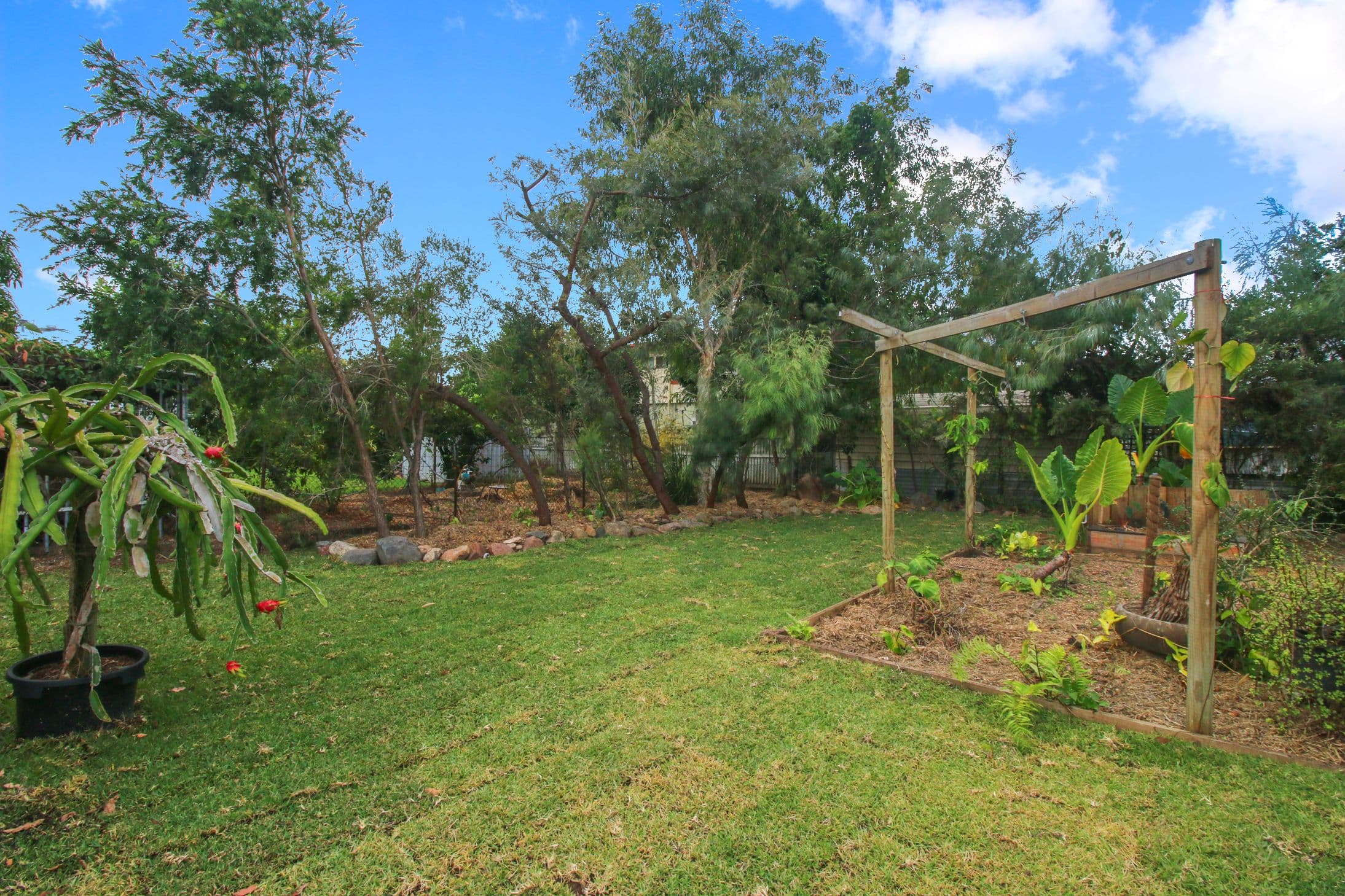 16 Hicks Street, Kirwan QLD 4817, Kirwan - Thumbnail 4