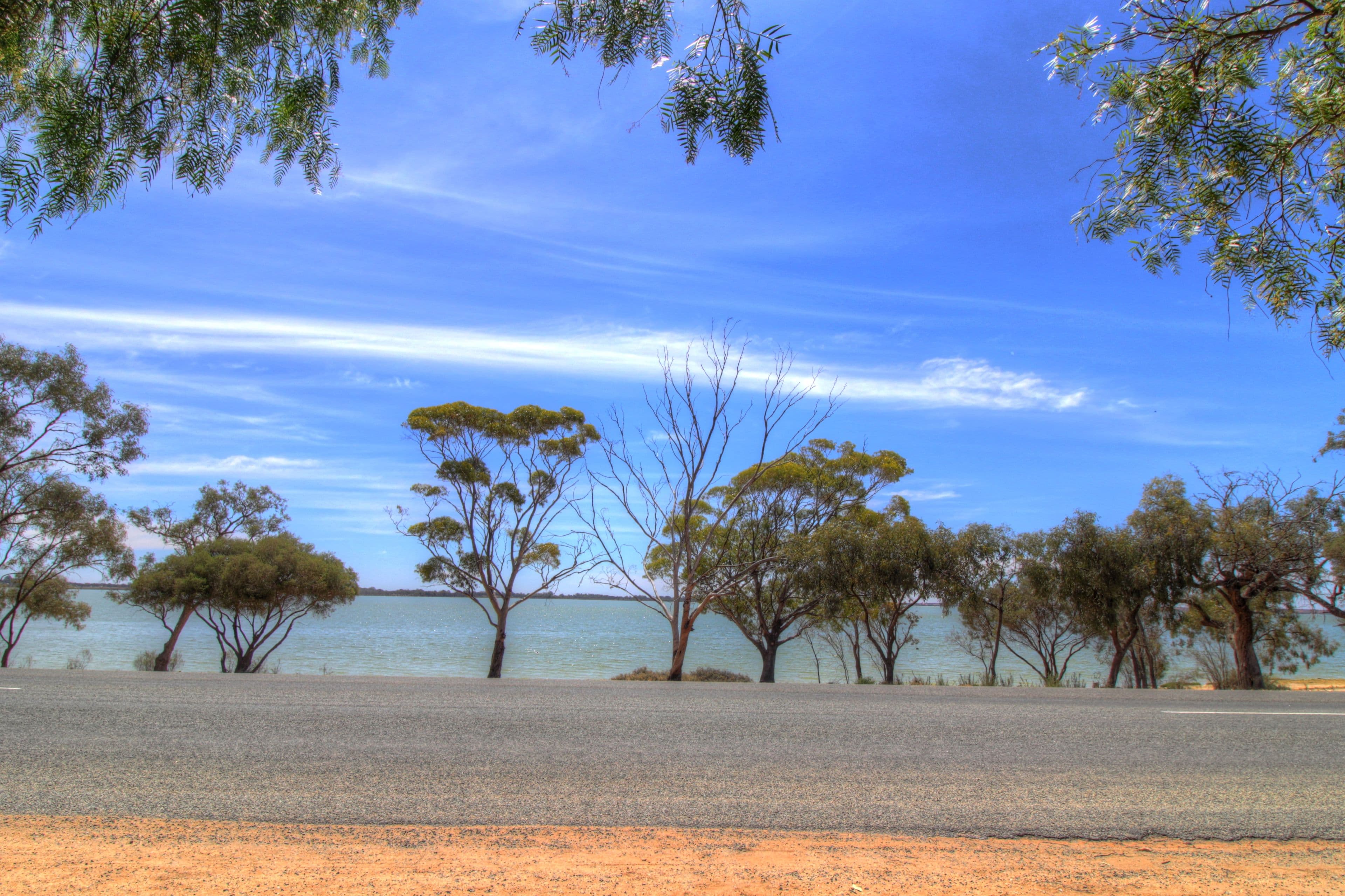 22 Queen Elizabeth Drive, Barmera SA 5345, Barmera - Thumbnail 3