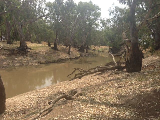 Lachlan Glade Moulder Street, CONDOBOLIN NSW 2877, Condobolin - Thumbnail 3