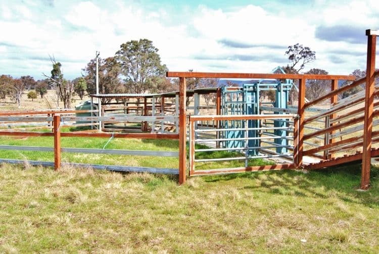 181 Elliotts Road, CROWTHER NSW 2803, Crowther - Thumbnail 4