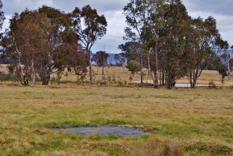 181 Elliotts Road, CROWTHER NSW 2803, Crowther - Thumbnail 6