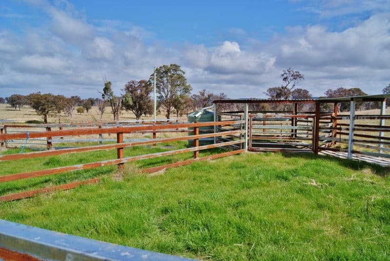 181 Elliotts Road, CROWTHER NSW 2803, Crowther - Thumbnail 7