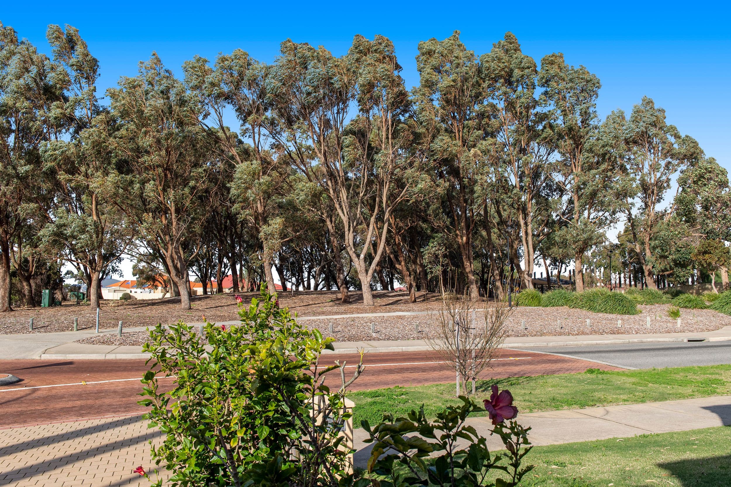 46 Brennan Promenade, Baldivis WA 6171, Baldivis - Thumbnail 2