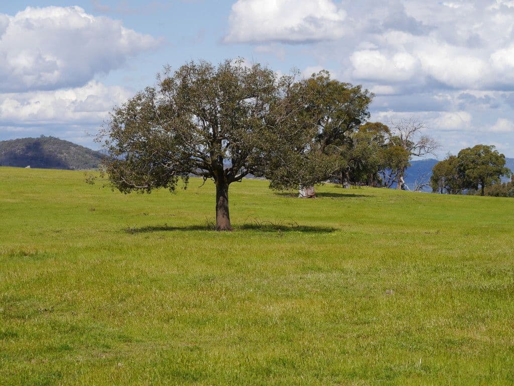 246A Clements Road, Woodstock NSW 2793, Woodstock - Thumbnail 2