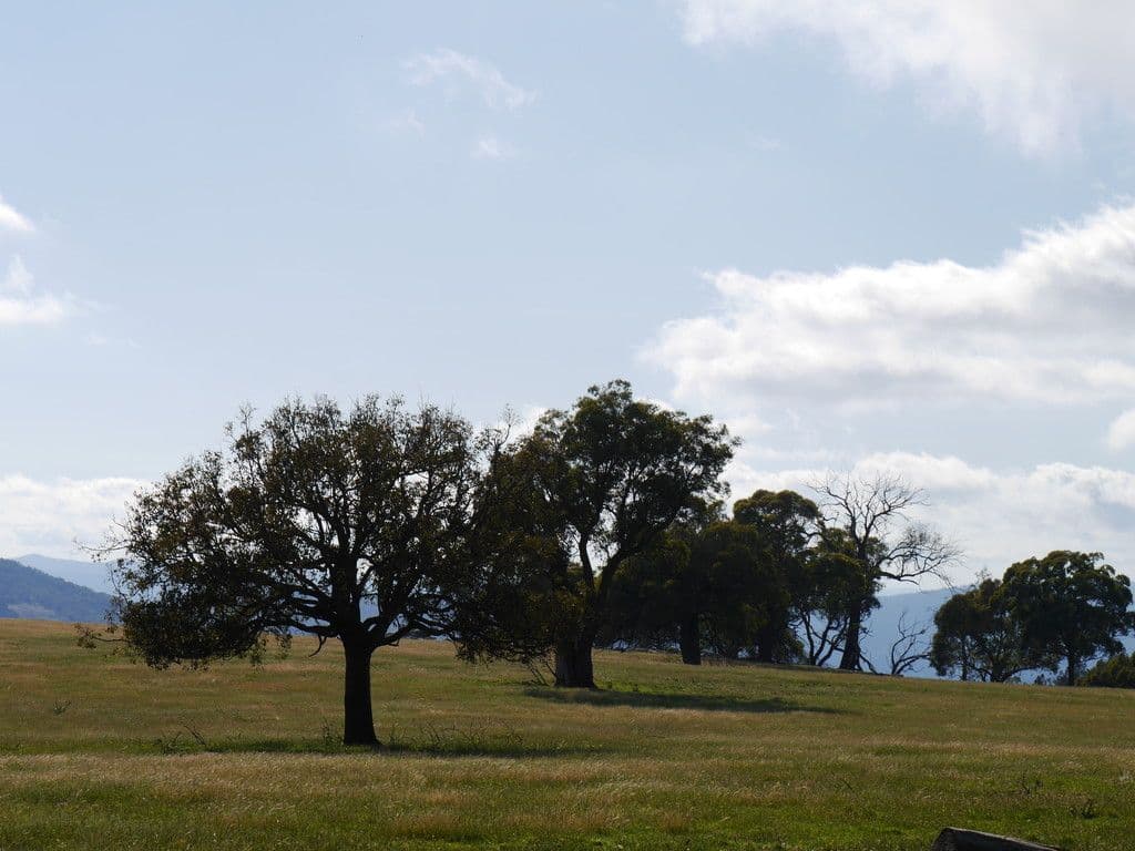 246A Clements Road, Woodstock NSW 2793, Woodstock - Thumbnail 3