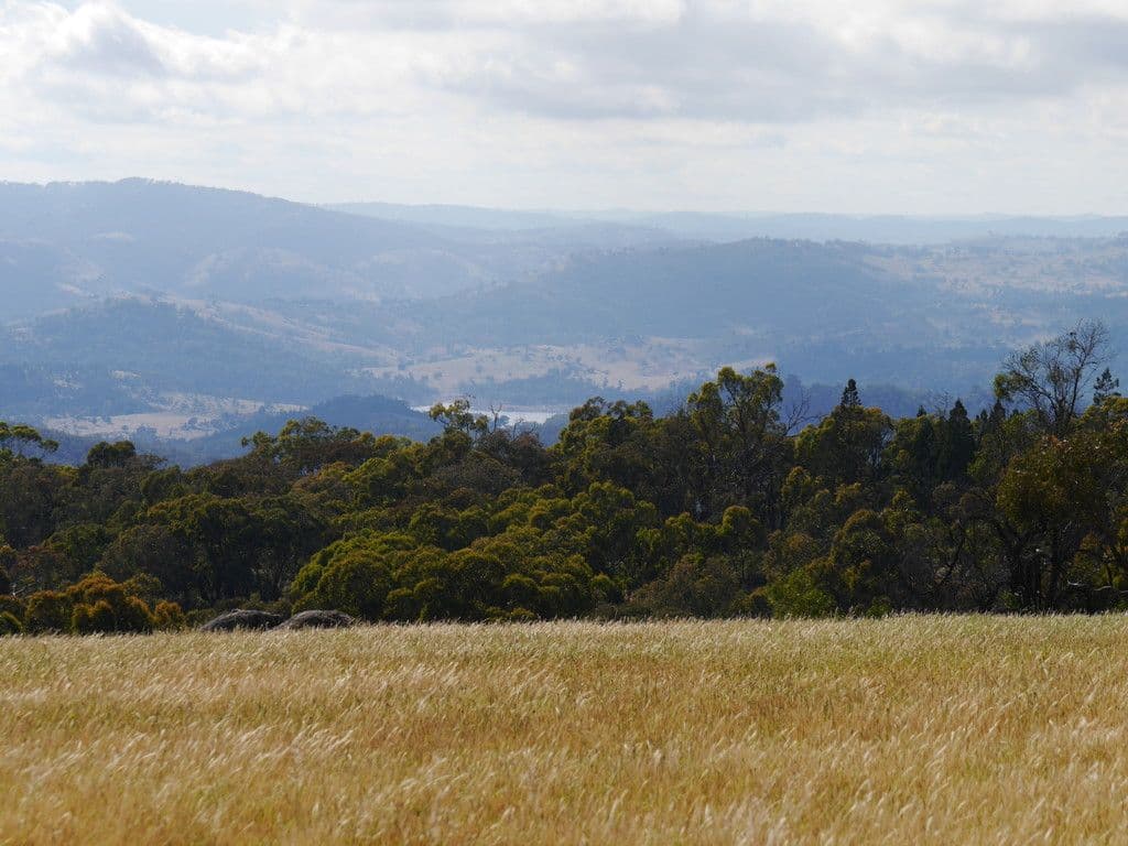 246A Clements Road, Woodstock NSW 2793, Woodstock - Thumbnail 4