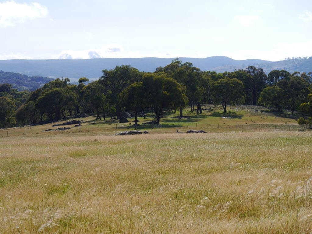 246A Clements Road, Woodstock NSW 2793, Woodstock - Thumbnail 5