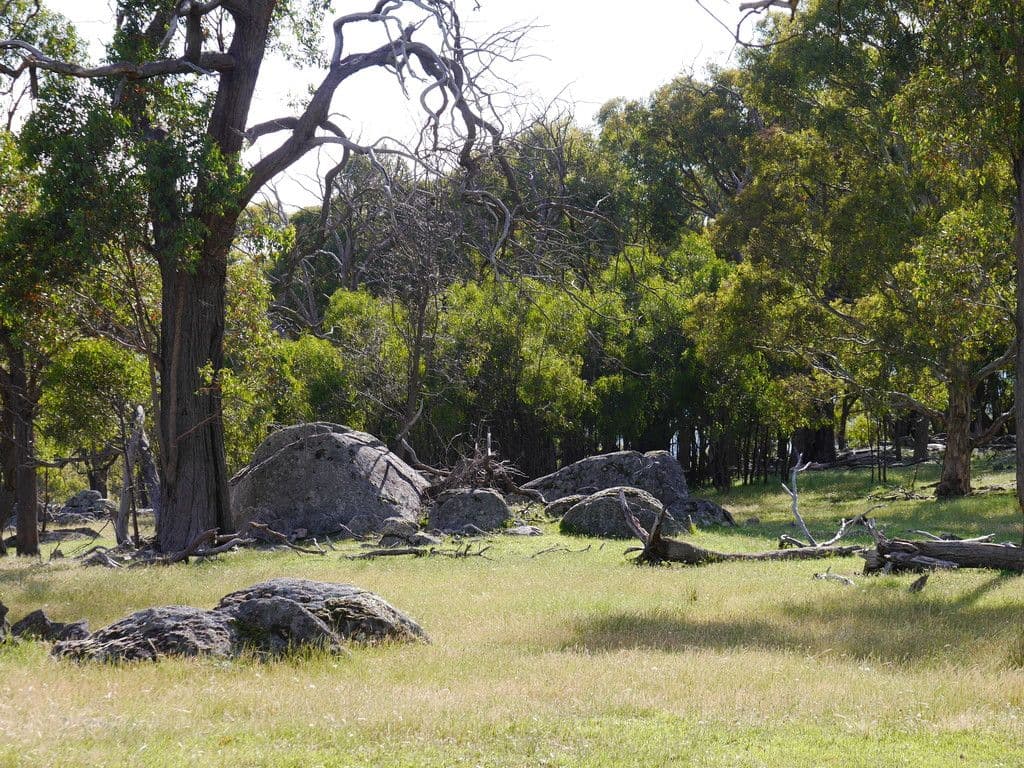246A Clements Road, Woodstock NSW 2793, Woodstock - Thumbnail 6
