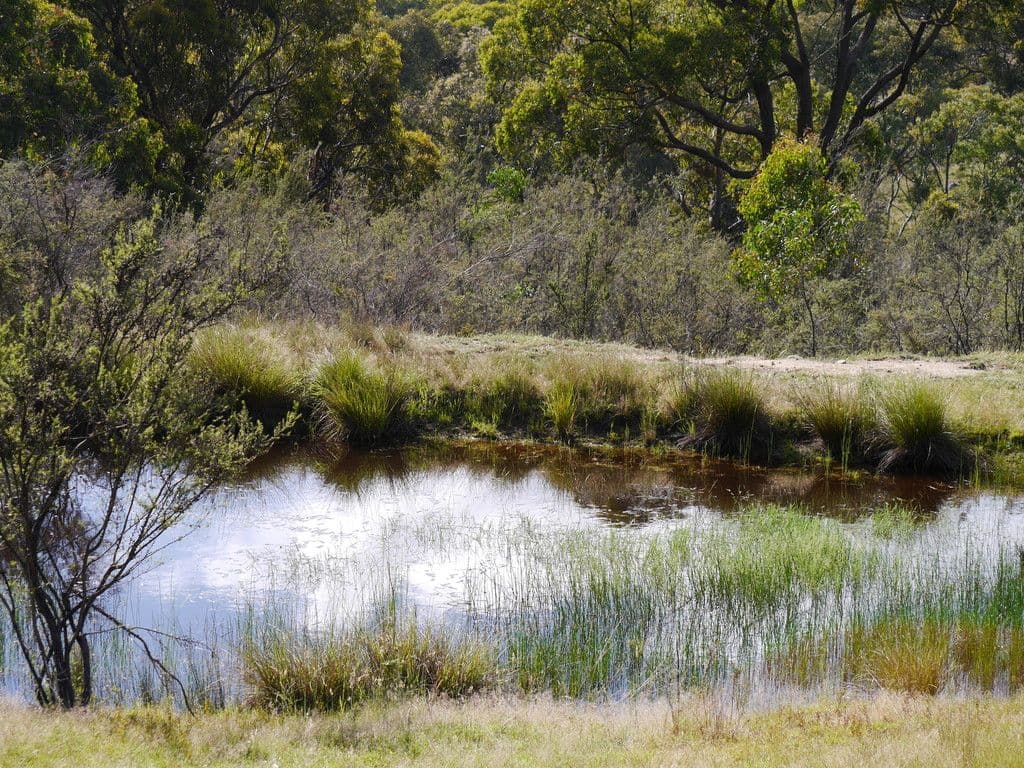 246A Clements Road, Woodstock NSW 2793, Woodstock - Thumbnail 7