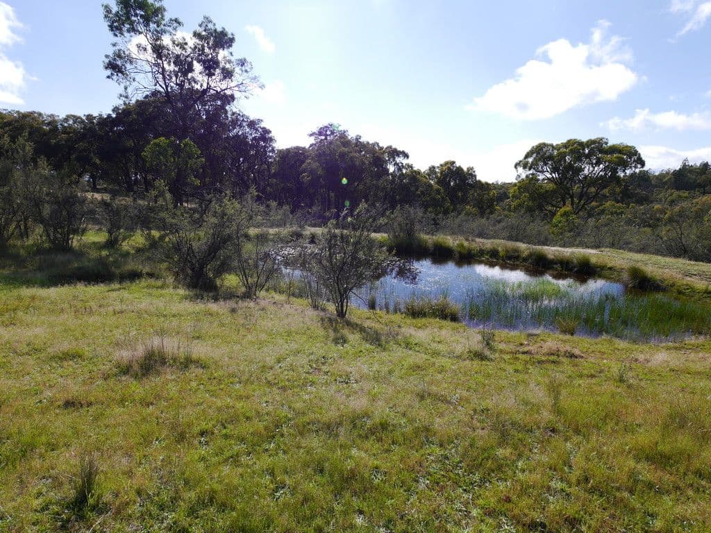 246A Clements Road, Woodstock NSW 2793, Woodstock - Thumbnail 8