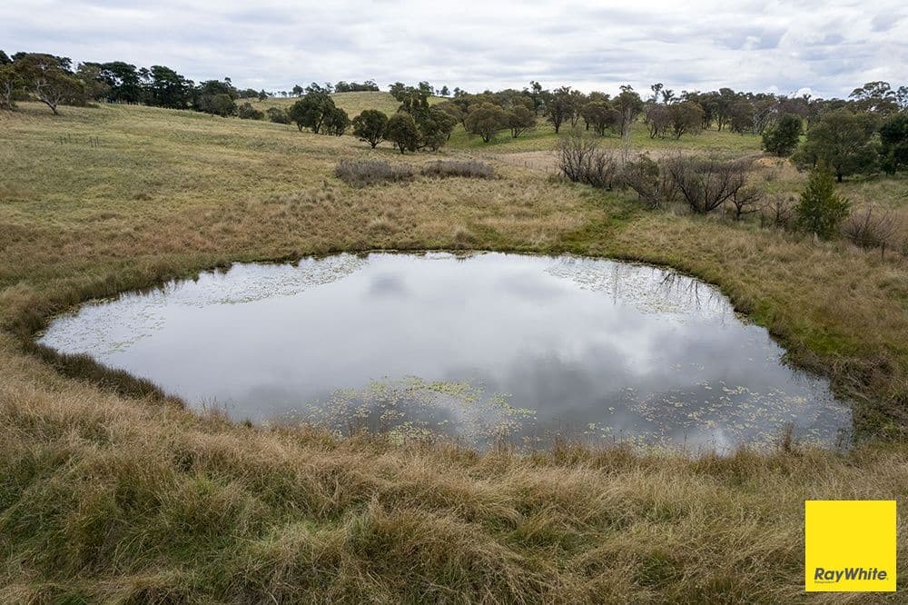 2049 Bungendore Road, Tarago NSW 2580, Tarago - Thumbnail 7
