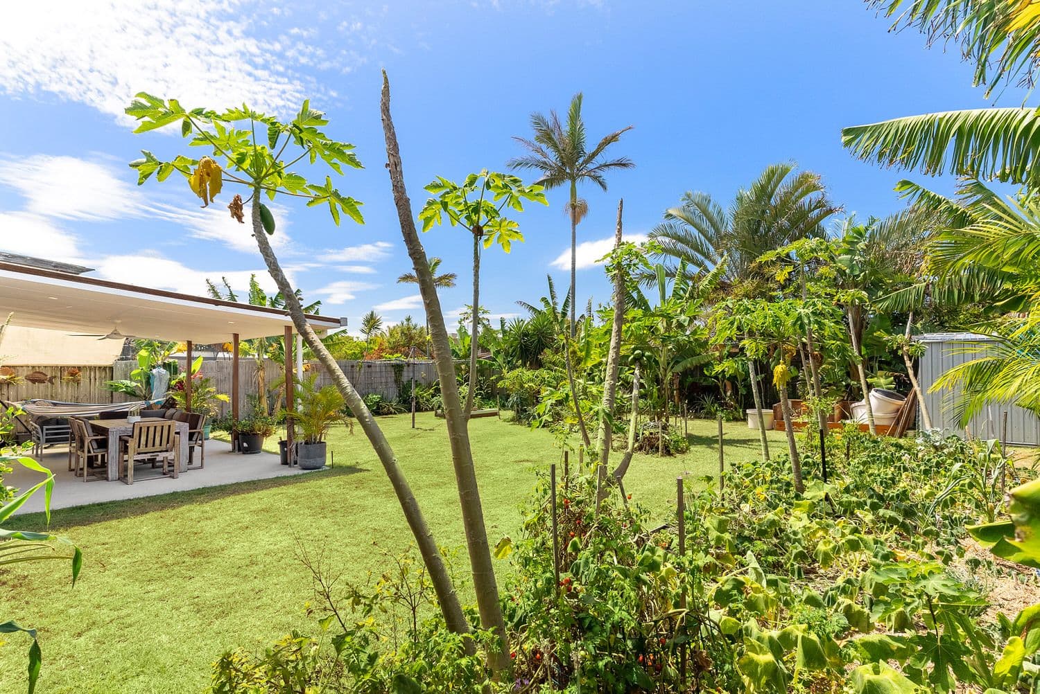 7 Koolena Street, Buddina QLD 4575, Buddina - Thumbnail 4