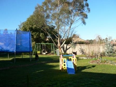 7 Meyer Place, THURGOONA NSW 2640, Thurgoona - Thumbnail 4