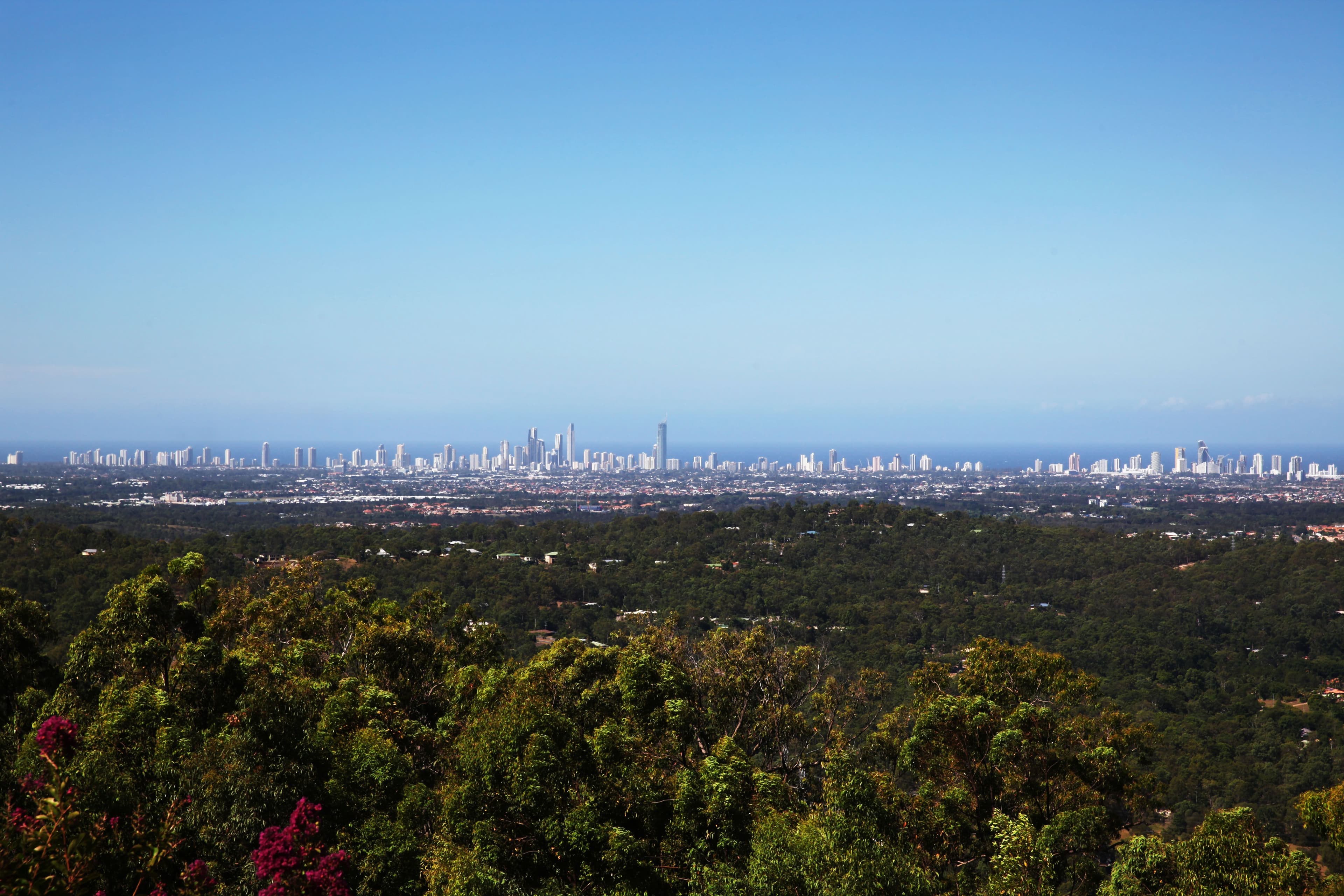 47 Glenrowan Drive, Tallai QLD 4213, Tallai - Thumbnail 3